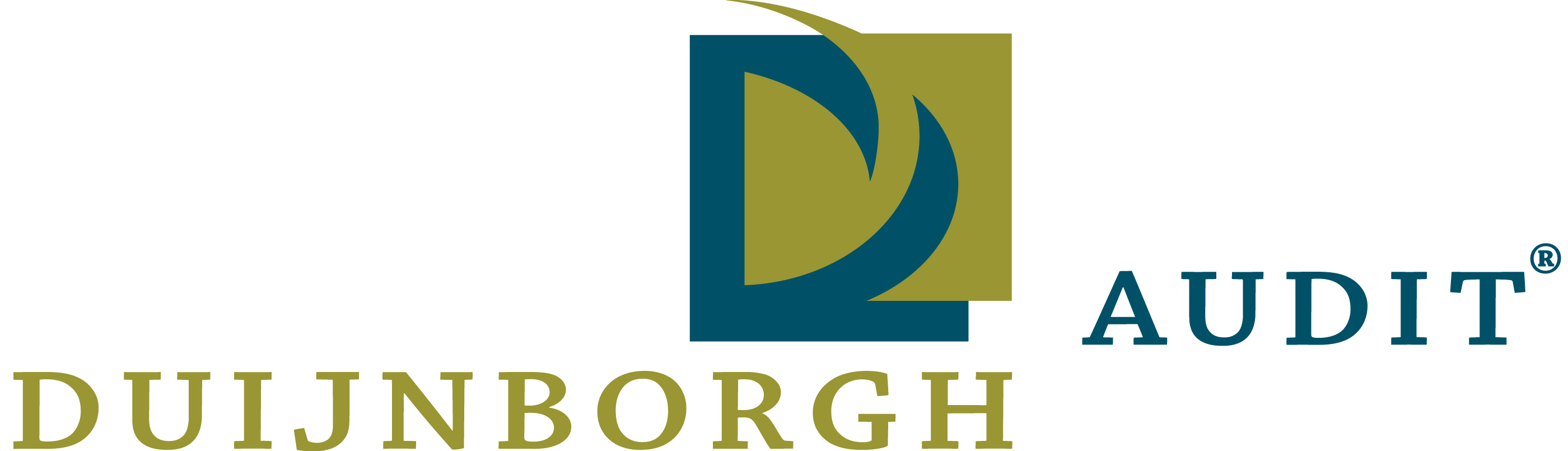 Logo Duijnborgh Audit