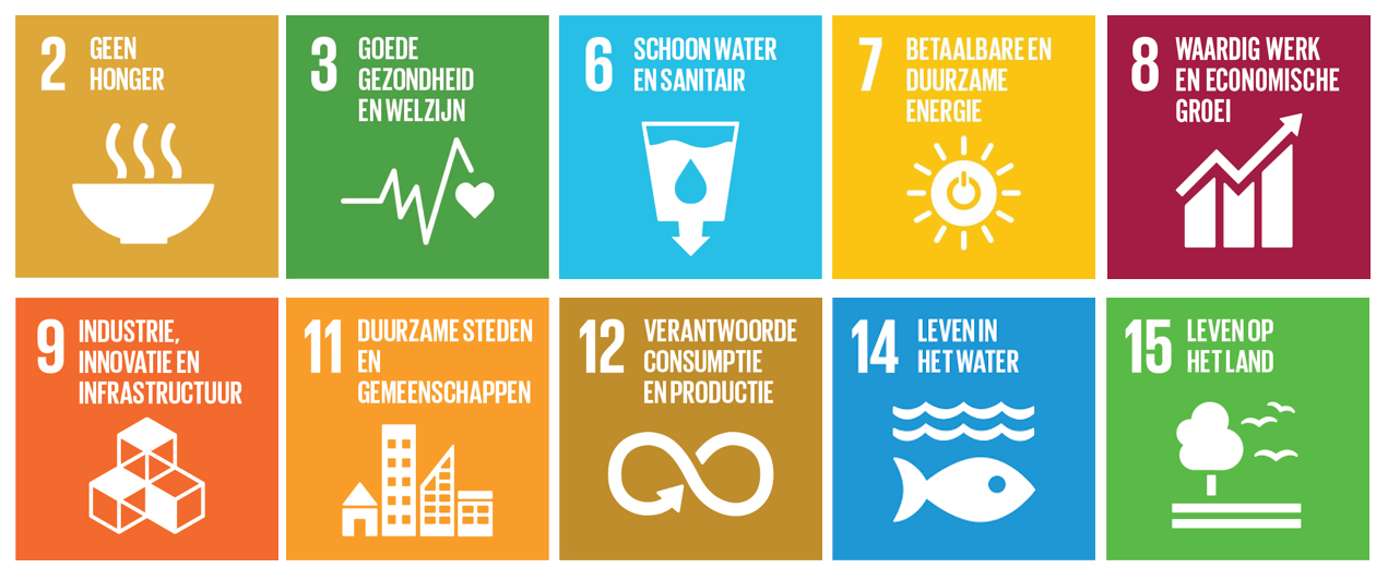 Dit figuur toont de tien SDG’s die worden behandeld in het onderzoek.