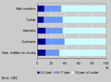 Eerste generatie niet-westerse allochtonen naar leeftijd tijdens immigratie en herkomst, 1 januari 2003