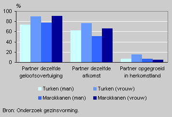 Opinions of young Turks and Moroccans about their future bride, 2004