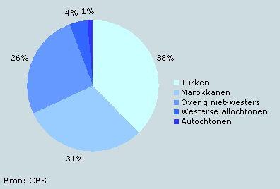 Verdeling islamieten per herkomstgroep
