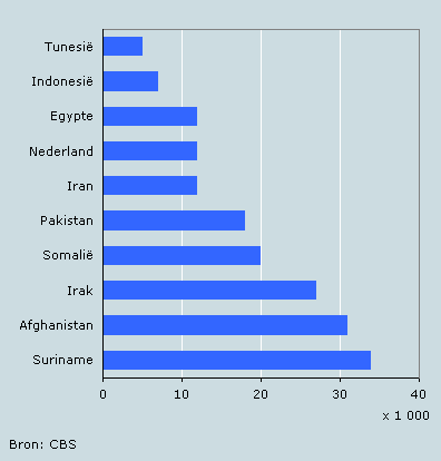 Tien grootste groepen islamieten uitgezonderd Turken en Marokkanen