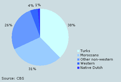 Distribution of Muslims by ethnic background