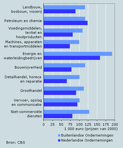 Gemiddelde arbeidsproductiviteit van Nederlandse en buitenlandse ondernemingen in Nederland, 2005