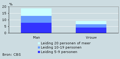Leidinggevenden naar geslacht, 2007