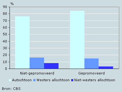 Gepromoveerde en niet-gepromoveerde academici naar herkomstgroepering, 2004-2007