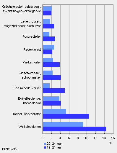 Tien meest uitgeoefende beroepen van studenten hoger onderwijs, 2008